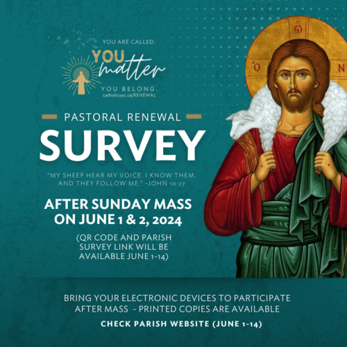 Pastoral Renewal Survey