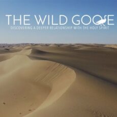 The Wild Goose – A New Faith Study begins January 23